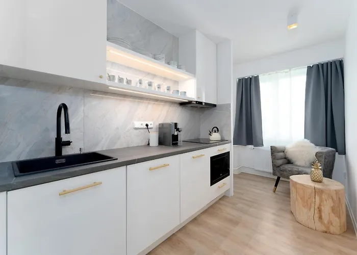 Apartment Apartman Ostrava *